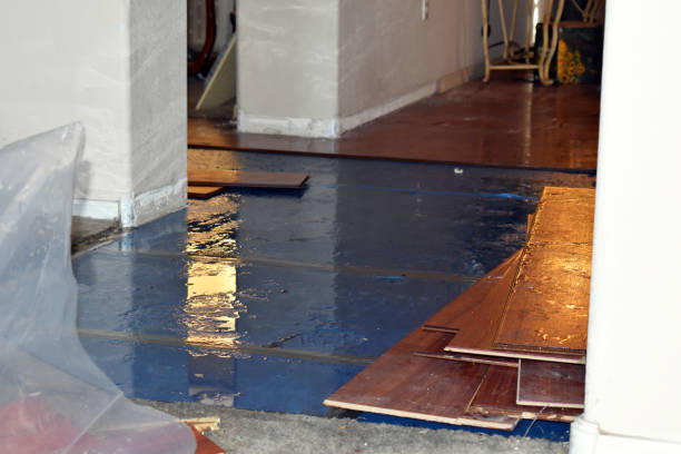 Professional Water Removal technician working in Akron, MI
